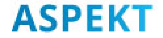 Aspekt - agencja e-marketingowa dla firm
