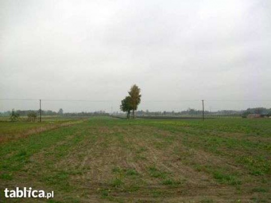 1,28 ha blisko Warszawy