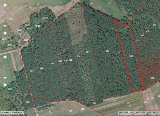 Sprzedam las 2,87 ha nad Narwią k. wsi Sitno