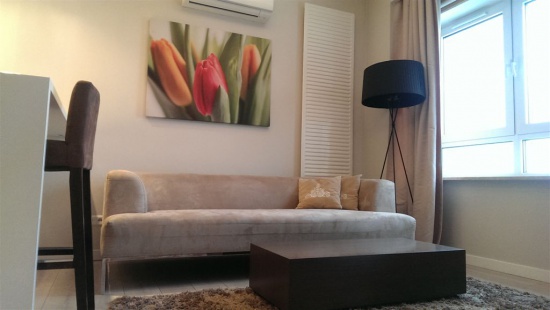 Apartament 9 piętro - Platinum, ul. Grzybowska, panorama miasta 