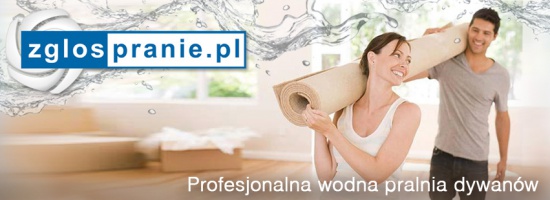 Wodne pranie dywanów