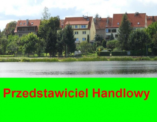 Przedstawiciel Handlowy nawiąże współpracę z firmami.