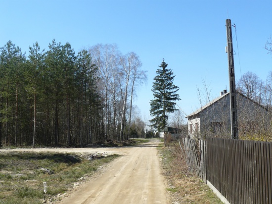 sprzedam działkę leśną 10 000 m2 k.Warszawy