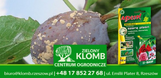 Rovral Aquaflo 500SC 5 i 10 ml - Środek grzybobójczy