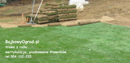 Zakładanie trawników przydomowych, ozdobnych i sportowych z rolki
