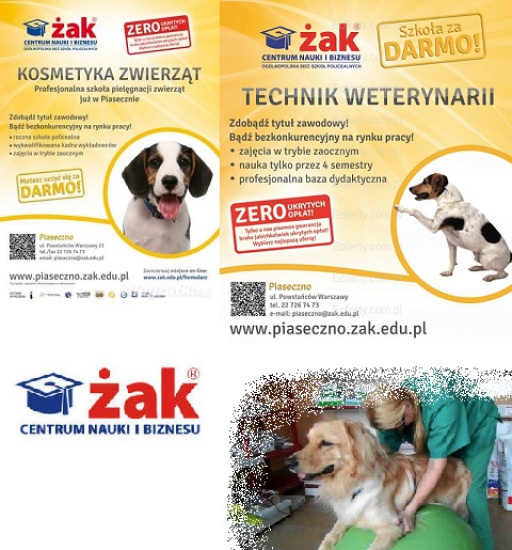 Kochasz zwierzęta? Doskonale, ŻAK ma dla Ciebie propozycję!